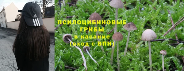 гашик Алзамай