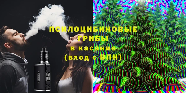 ПСИЛОЦИБИНОВЫЕ ГРИБЫ Алексин