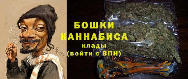 ГАЛЛЮЦИНОГЕННЫЕ ГРИБЫ Михайлов