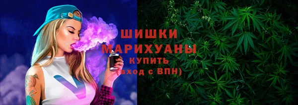 ПСИЛОЦИБИНОВЫЕ ГРИБЫ Алексин