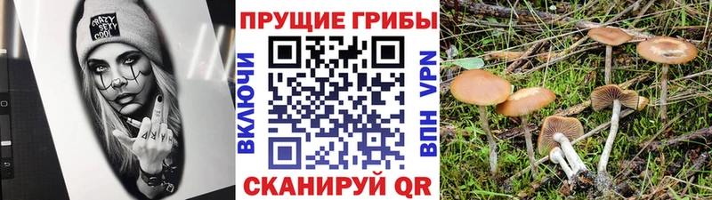 Псилоцибиновые грибы мухоморы  Северская 